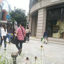 道端の草も銀座風？？？