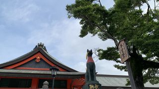 たくさんいます