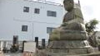 小柄で猫背な大仏さま