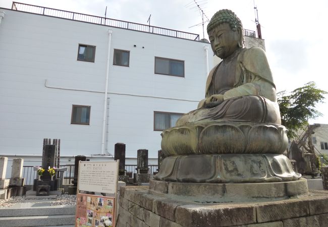 小柄で猫背な大仏さま