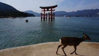 厳島神社