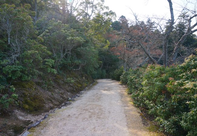 あせび歩道 クチコミ アクセス 営業時間 宮島 厳島神社 フォートラベル