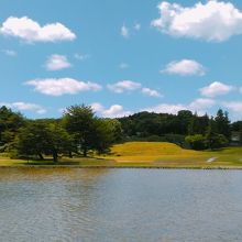 無量光院本堂と東中島の建物とを結ぶ延長線上に金鶏山があります