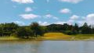 (無量光院跡)　藤原三代秀衡が建てた寺院跡です