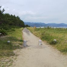 ビーチと松原の間には遊歩道もあります。