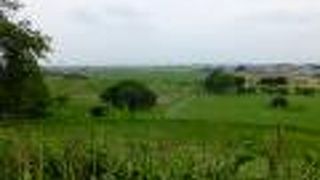 古墳がいっぱい、のんびり出来ます。