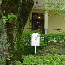 血染めの梅と石