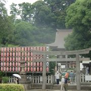 6月30日の夏越し祓いの茅の輪くぐりの準備