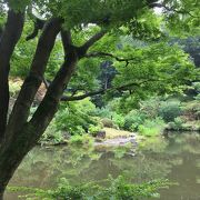 入園無料、都会の穴場です