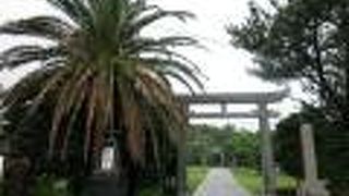 屋久島の守り神