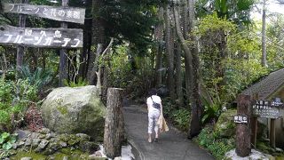 フルーツいっぱい