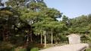 大きくて横にも広がった感じだったので、圧巻