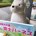 盲導犬の里 富士ハーネス