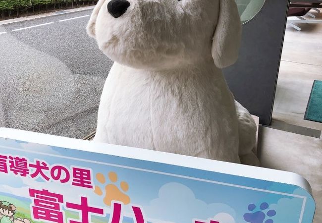 盲導犬の里 富士ハーネス