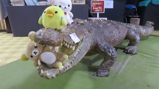 草津亜熱帯園　いがいと楽しいです