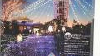 何回か行ってますが花は咲いてませんでした