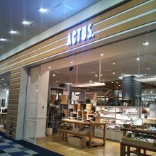 アクタス (ららぽーと豊洲店)