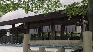 見どころたくさん