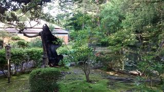 様々な繊細さにきっと驚くこと間違いなし