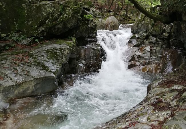 河鹿の滝 クチコミ アクセス 営業時間 洞川温泉 大峰山 天川 フォートラベル 河鹿の滝 クチコミ アクセス 営業時間 洞川温泉 大峰山 天川 フォートラベル