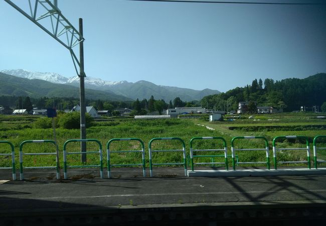 雪をかぶっていて、最高にきれい