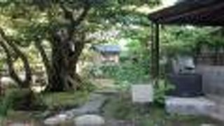 兼六園の中では、シンプルな観光アトラクションという感じ