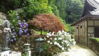 御所市にある花の寺