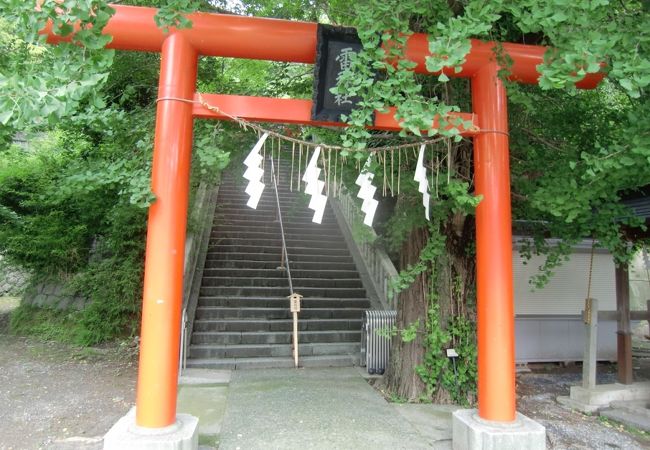 朱色の鳥居の先の急階段の参道と大銀杏が特徴的