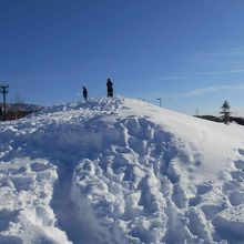 小高い山は上って遊べます
