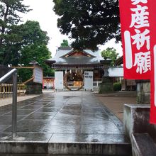 茅の輪をくぐります！