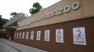 徐々に再開、室内施設もオープン。