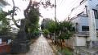 石だたみと緑の植物がとてもきれい