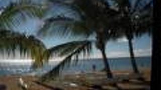 ウミガメ遭遇率No.1のハレイワ・アリイ・ビーチですが、冬季には数多くのサーフィン大会の舞台となります。