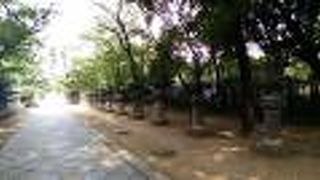 参道沿いの左右に、たくさんの石灯篭が並んでいて、圧巻