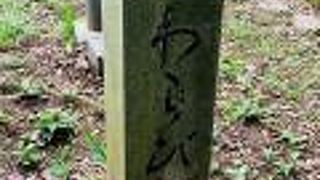 さわらびの道 …再び