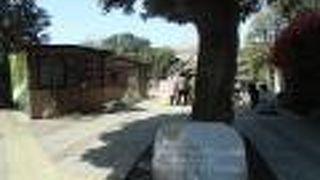 場所柄、遊んでいる親子が全員セレブに見えます