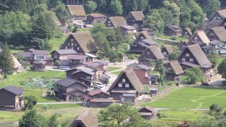 合掌造りと水田