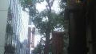 「曽根崎心中」に合わせて和風＆恋愛ムードが楽しい商店街