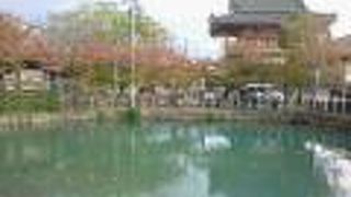 静かな水面に四天王寺の風景が映りこんで綺麗です