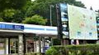 日光口PAで観光MAPを;日光に向かって♪