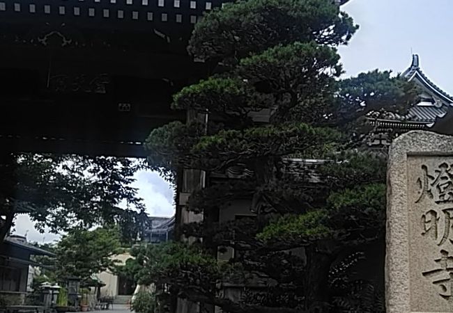 亀戸のおすすめ観光スポット クチコミ人気ランキングtop フォートラベル 東京 亀戸のおすすめ観光スポット クチコミ人気ランキングtop フォートラベル 東京