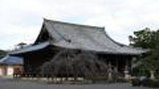 広い伽藍で紀伊南部屈指の寺