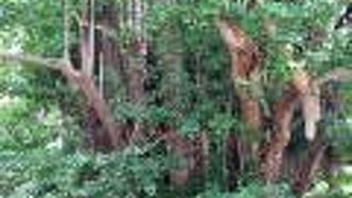 本八幡のパワースポット