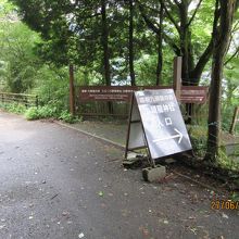 九頭竜神社入口