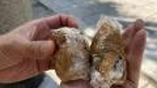 早い時間からやっています