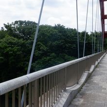 この弁天橋を渡ると川沿いに印旛沼コース連絡道あり