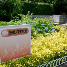 谷津公園内の看板の奥にあり。注意して探す必要あり。