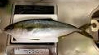 あまりうまくなかった