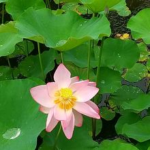 潮見坂平和公園