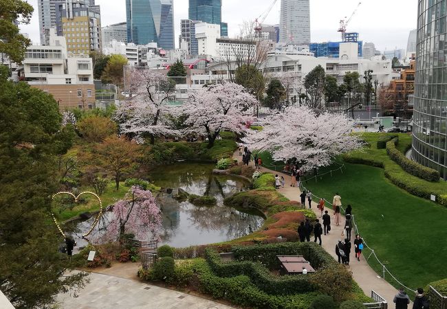 毛利庭園 クチコミ アクセス 営業時間 六本木 フォートラベル